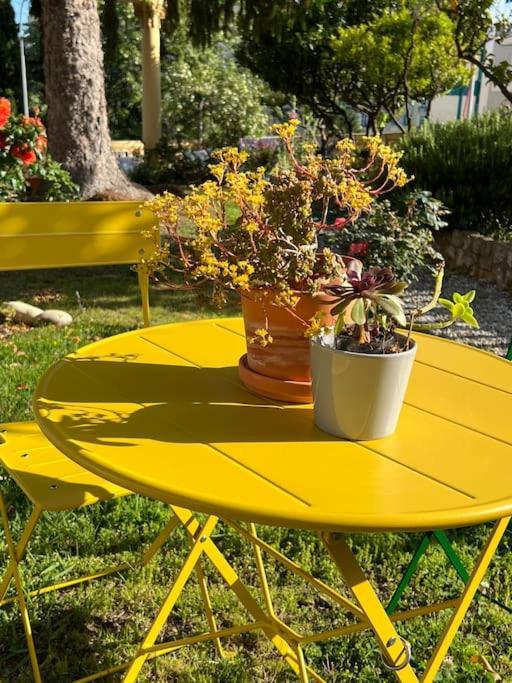 Exceptionnel Belle Epoque Avec Grande Terrasse Plein Sud Appartamento
